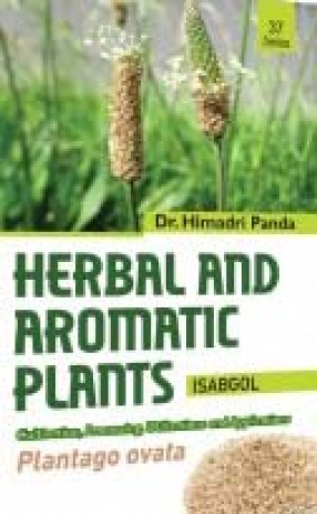 Herbal and Aromatic Plants: Plantago Ovata: Isabgol