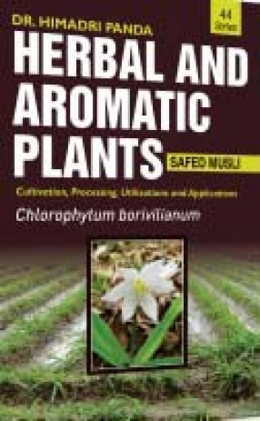 Herbal and Aromatic Plants: Chlorophytum Borivilianum: Safed Musli