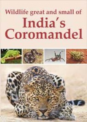 Wildlife Great and Small of India’s Coromandel