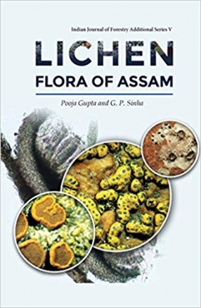 Lichen Flora of Assam