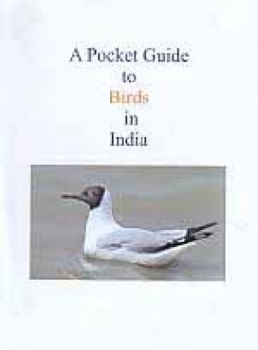 A Pocket Guide to Birds in India