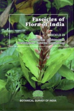 Fascicles of Flora of India : Fascicle 28: Orchidaceae: Orchidoideae Cranichideae: Subtribe Goodyerinae