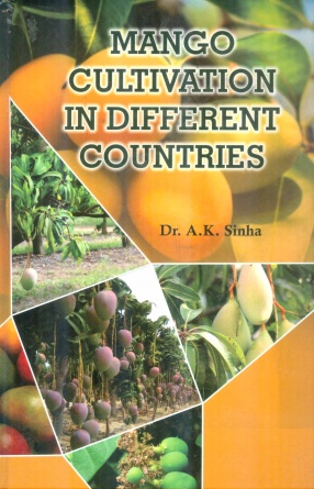 Mango Cultivation in Different Countries