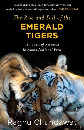 The Rise and Fall of The Emerald Tigers