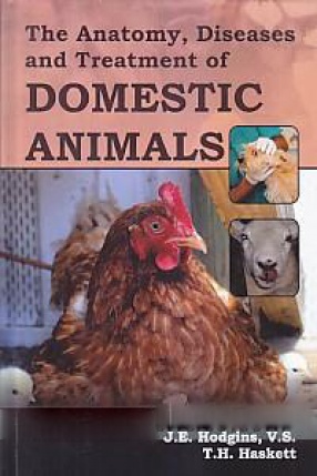 The Anatomy, Diseases and Treatment of Domestic Animals