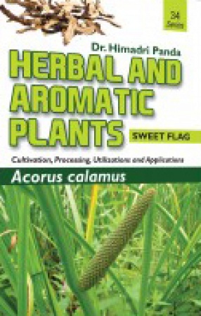 Herbal and Aromatic Plants: Acorus Calamus: Sweet Flag