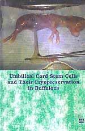 Umbilical Cord Stem Cells and Their Cryopreservation in Buffaloes