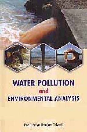 Water Pollution and Environmental Analysis