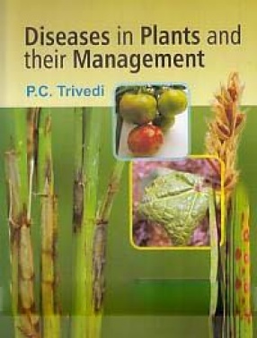 Diseases in Plants and Their Management