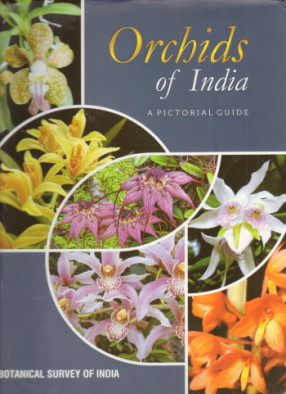 Orchids of India: A Pictorial Guide