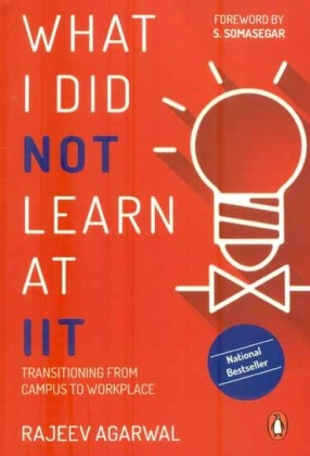 What I Did Not Learn At IIT: Transitioning From Campus to Workplace