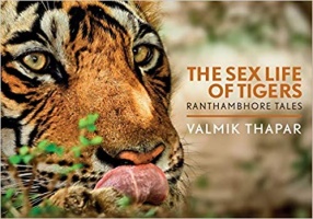 The Sex Life of Tigers: Ranthambhore Tales