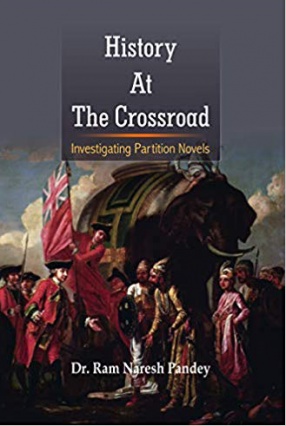 History at The Crossroad: Investigating Partition Novels