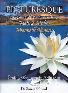 Picturesque View of Some of the Leading Remedies of Materia Medica with Miasmatic Glimpses