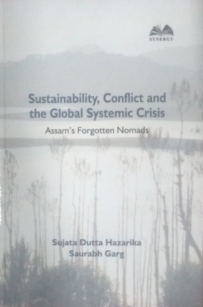 Sustainability, Conflict and the Global Systemic Crisis: Assam's Forgotten 