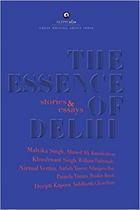 The Essence of Delhi