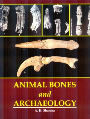 Animal Bones and Archaeology