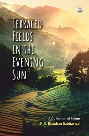 Terraced Fields in The Evening Sun: A Collection of Poems