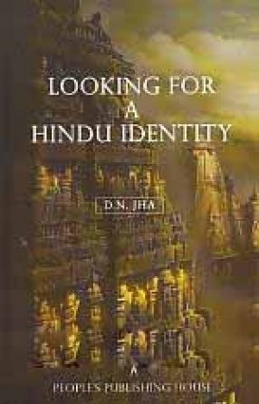 Looking for a Hindu Identity