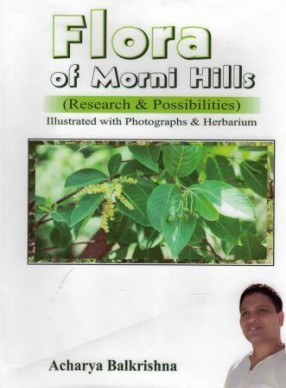 Flora of Morni Hills: Research & Possibilities: Illustrated with Photographs & Herbarium