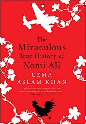 The Miraculous True History of Nomi Ali