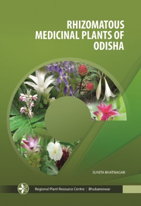 Rhizomatous Medicinal Plants of Odisha