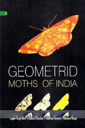 Geometrid Moths of India