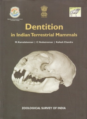 Dentition in Indian Terrestrial Mammals