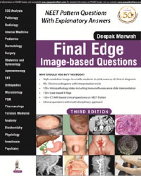 Final Edge: Image-Based Questions