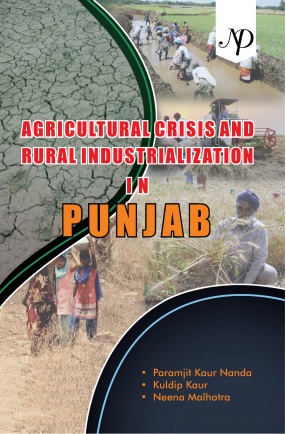 Agricultural Crisis and Rural Industrialization in Punjab