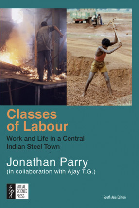 Classes of Labour: Work and Life in a Central Indian Steel Town
