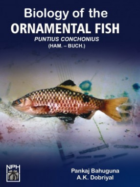 Biology of the Ornamental Fish: Puntius-Conchonius (HAM.-BUCH.)