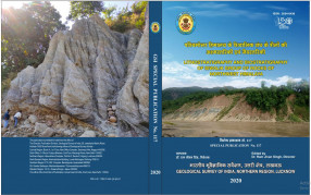 Lithostratigraphy and Biostratigraphy of Siwalik Group of Rocks of Northwest Himalaya