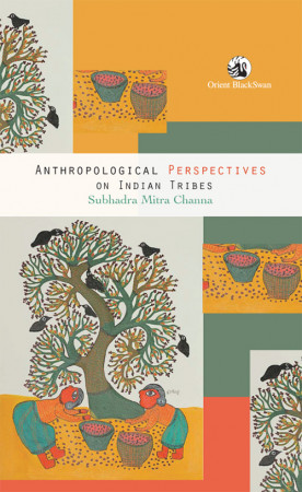 Anthropological Perspectives on Indian Tribes