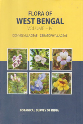 Flora of West Bengal Vol. IV: Convolvulaceae-Ceratophyllaceae