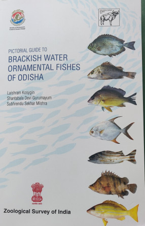 Pictorial Guide To Brackish Water Ornamental Fishes of Odisha