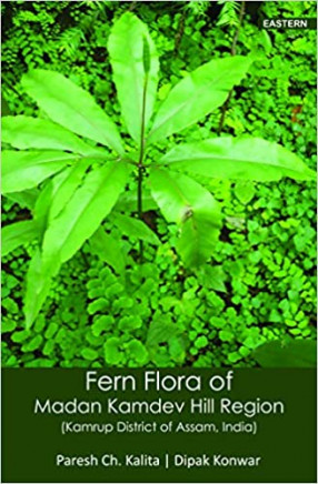 Fern Flora of Madan Kamdev Hill Region: Kamrup District of Assam, India