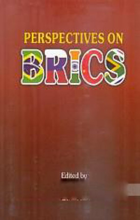 Perspectives on BRICS 