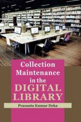 Collection Maintenance in the Digital Library