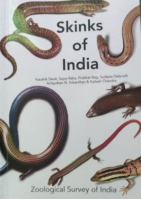 Skinks of India