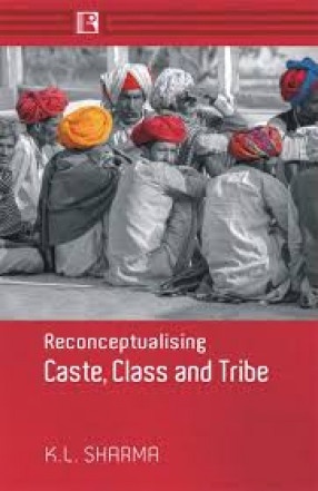 Reconceptualising Caste, Class and Tribe 