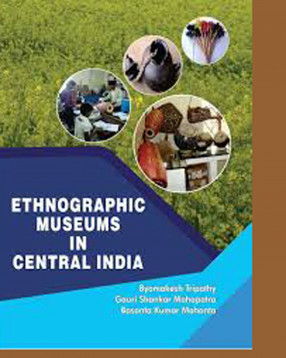 Ethnographic Museums in Central India