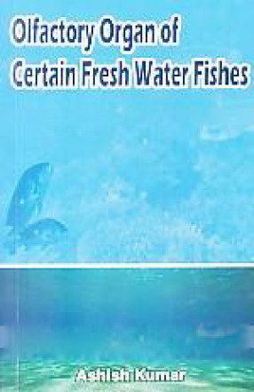 Olfactory Organ of Certain Fresh Water Fishes: A Case Study