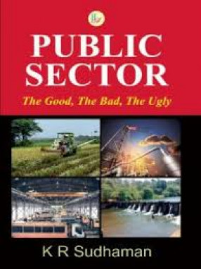 Public Sector: the Good, the Bad, the Ugly 