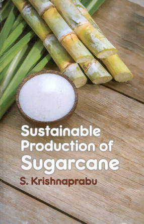 Sustainable Production of Sugarcane