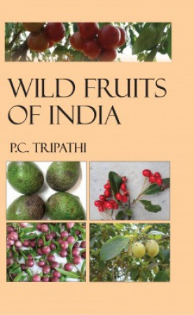 Wild Fruits Of India