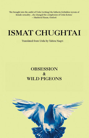 Obsession & Wild Pigeons