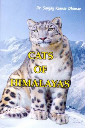 Cats of Himalayas