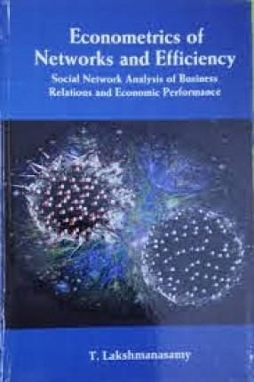 Econometrics of Networks and Efficiency: Social Network Analysis of Business Relations and Economic Performance