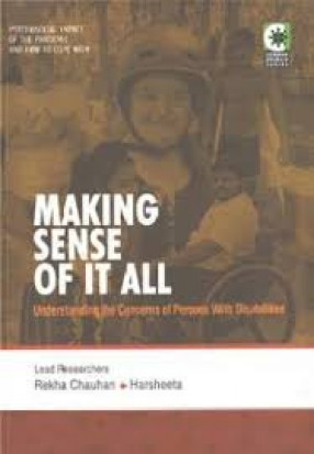 Making Sense of It All: Understanding the Concerns of Persons with Disabilities